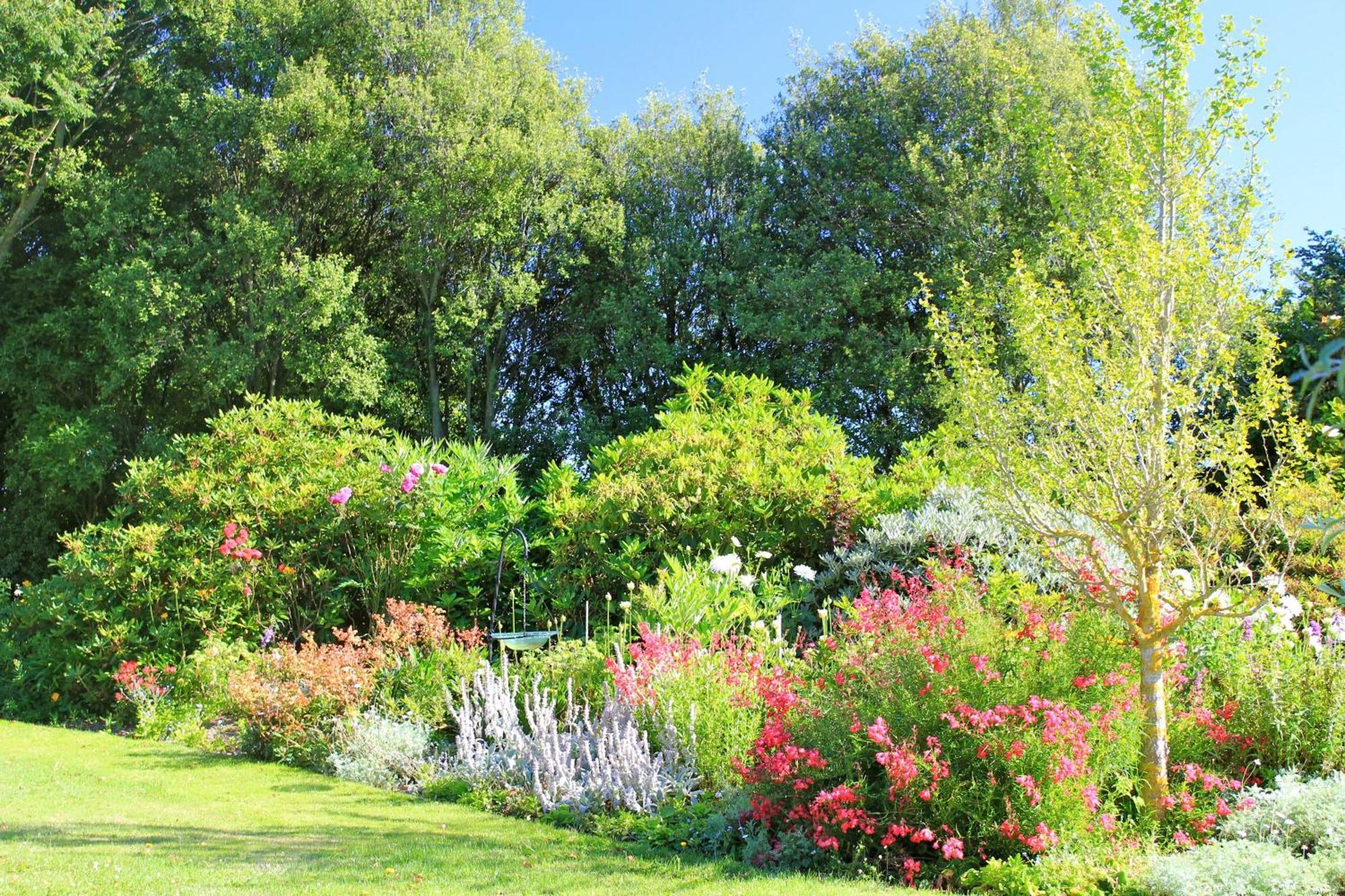 Silverstream Alpaca Farmstay & Tour Kaiapoi Esterno foto