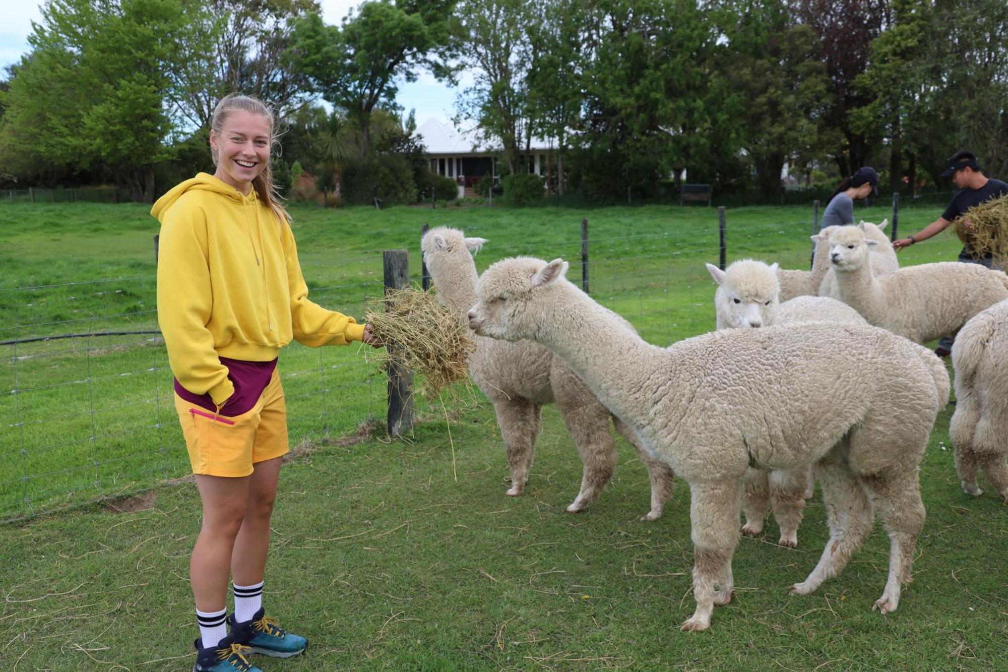 Silverstream Alpaca Farmstay & Tour Kaiapoi Esterno foto