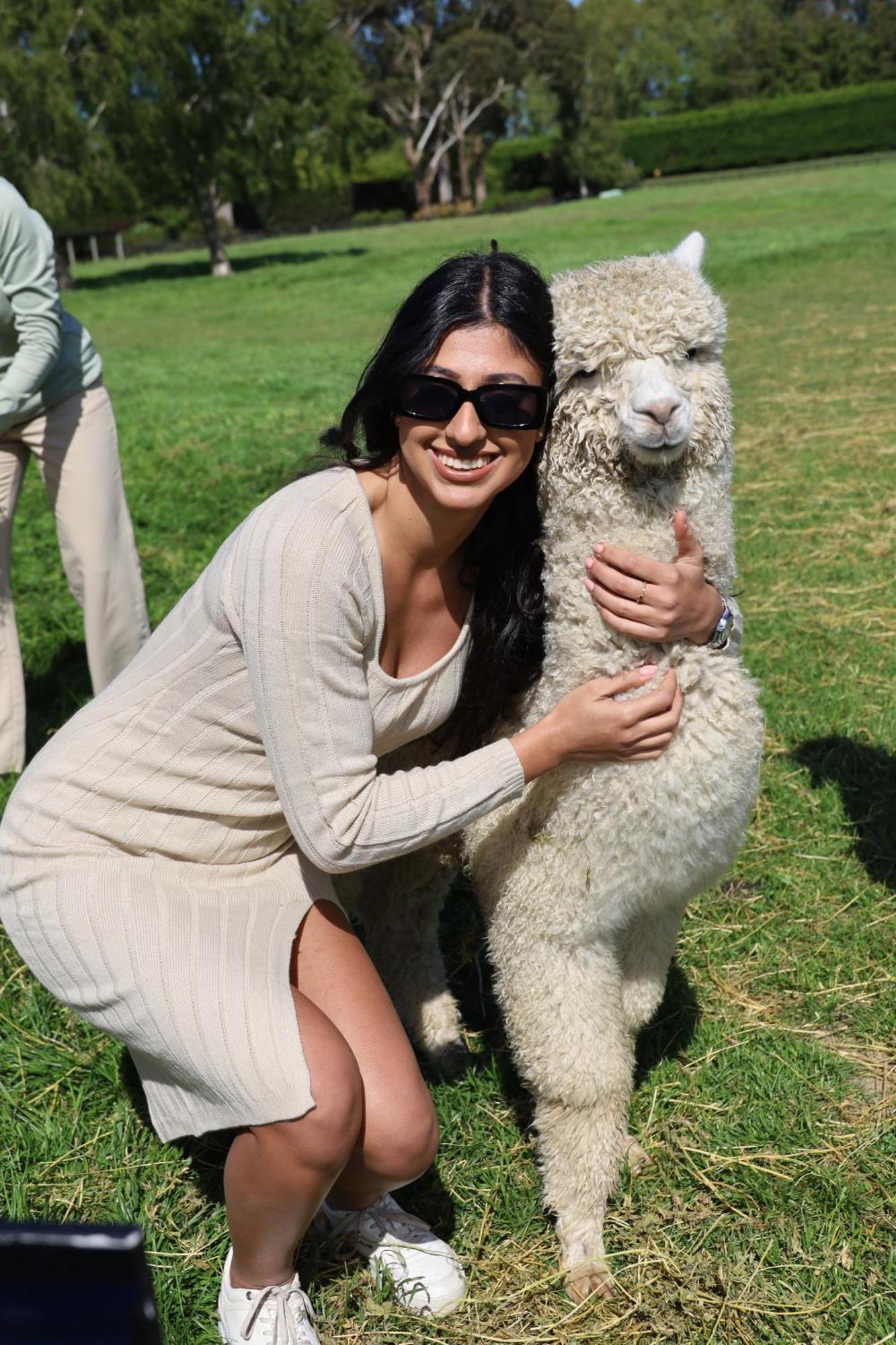 Silverstream Alpaca Farmstay & Tour Kaiapoi Esterno foto