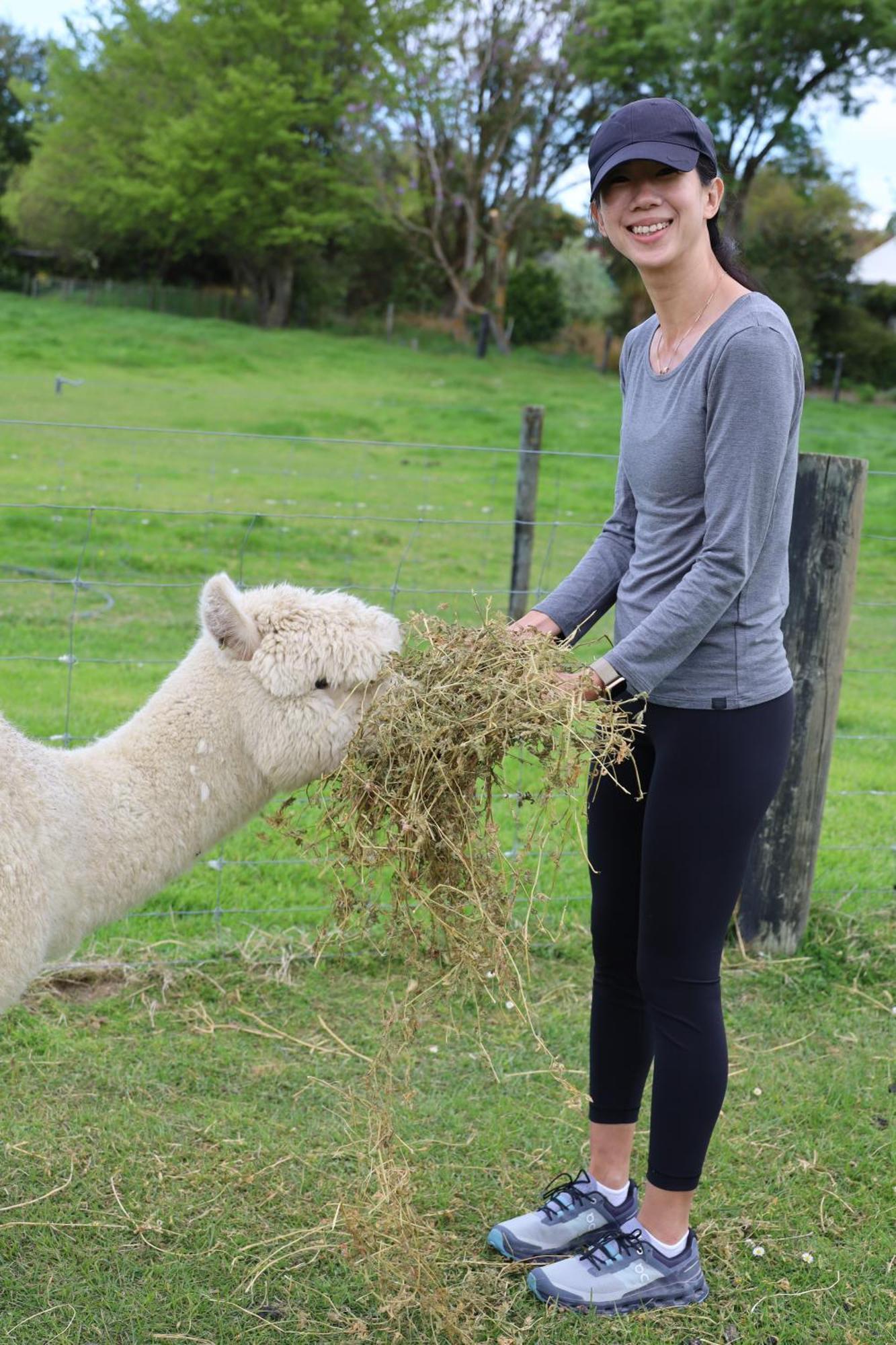 Silverstream Alpaca Farmstay & Tour Kaiapoi Esterno foto