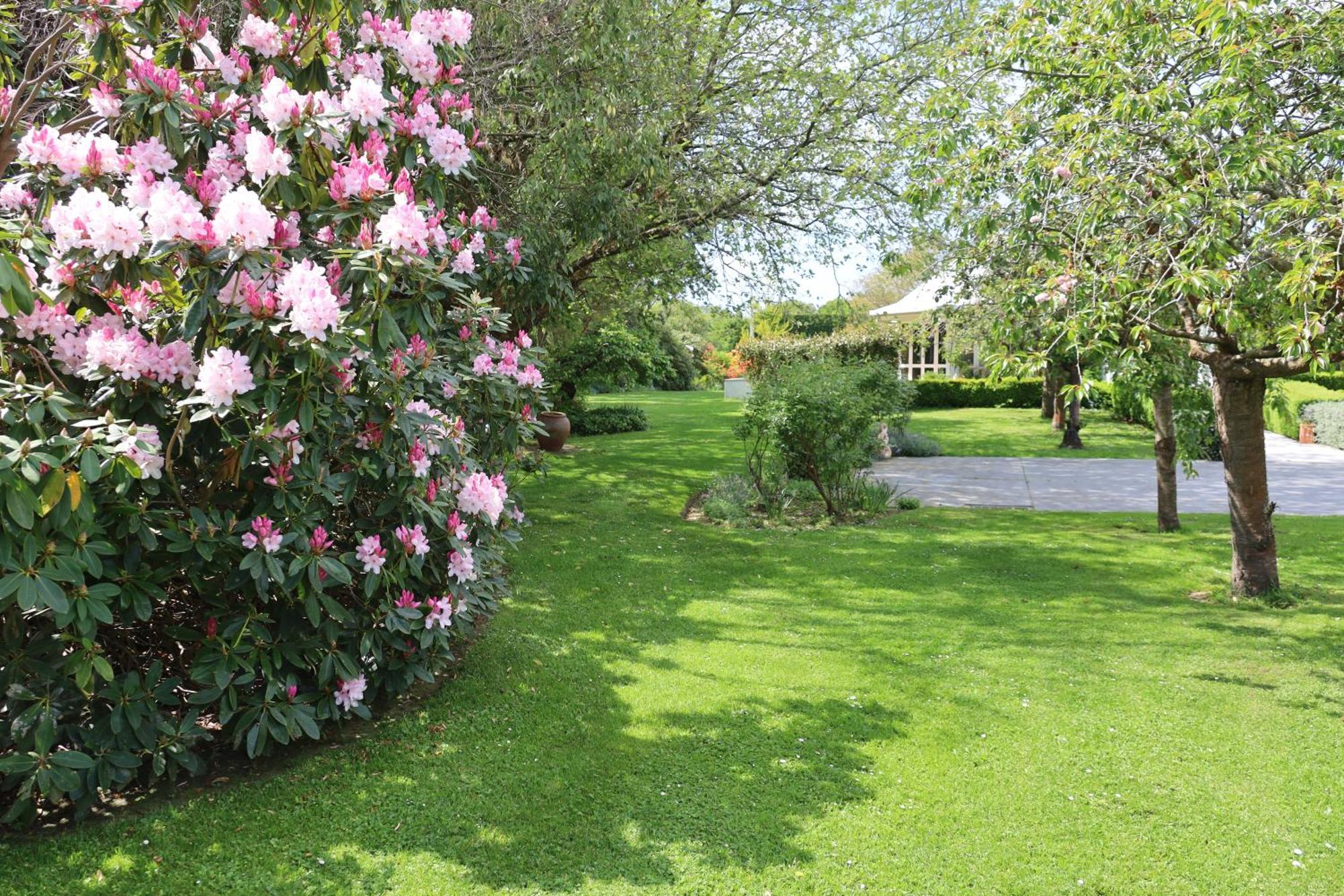 Silverstream Alpaca Farmstay & Tour Kaiapoi Esterno foto