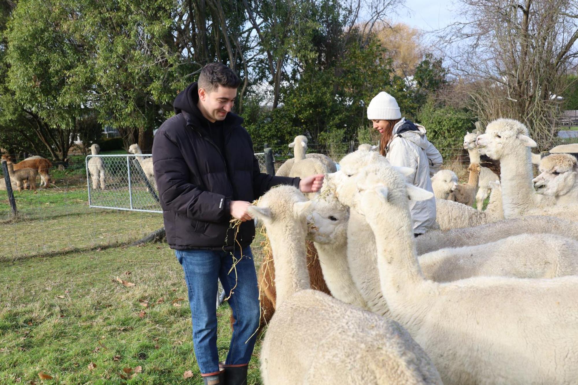 Silverstream Alpaca Farmstay & Tour Kaiapoi Esterno foto