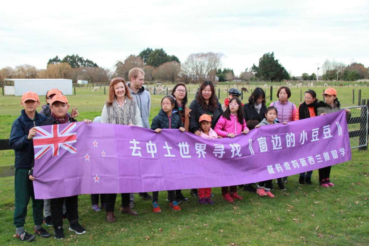 Silverstream Alpaca Farmstay & Tour Kaiapoi Esterno foto