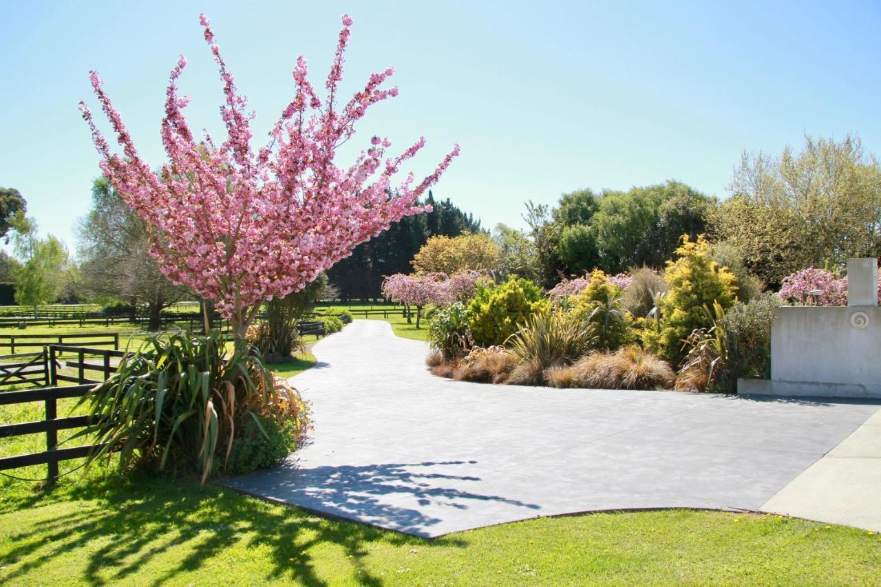 Silverstream Alpaca Farmstay & Tour Kaiapoi Esterno foto