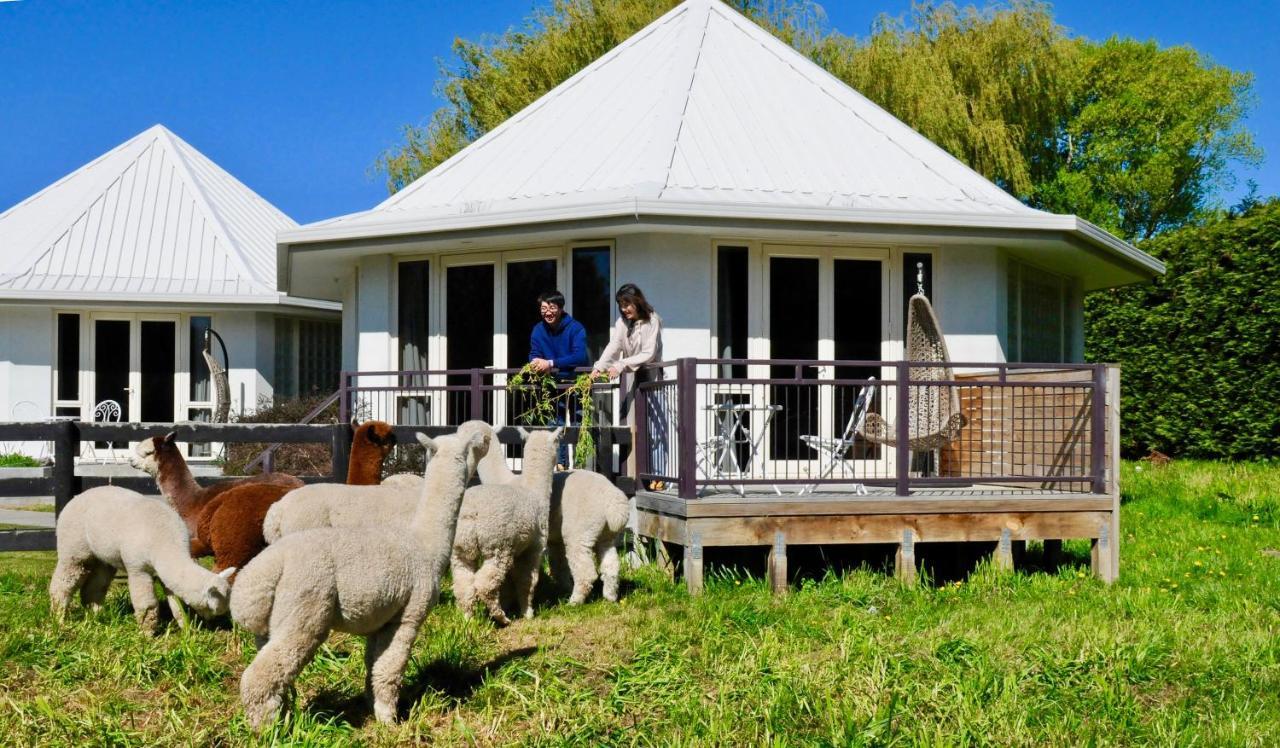 Silverstream Alpaca Farmstay & Tour Kaiapoi Esterno foto