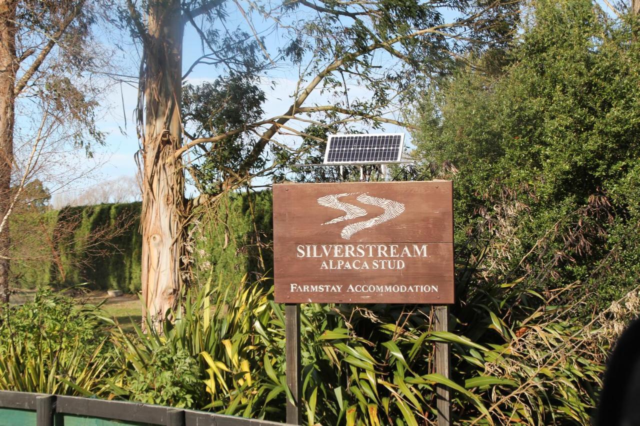 Silverstream Alpaca Farmstay & Tour Kaiapoi Esterno foto
